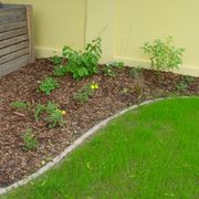 Pflanzen im Beet mit Rindenmulch neben gemähtem grünen Rasen von der Gartenpflege im Bezirk Wiener Neustadt