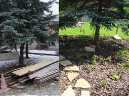 Ein Garten vor und nach der Gartengestaltung und Gartenpflege in Wiener Neustadt
